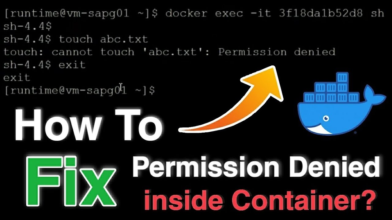 Got permission denied while trying to connect to the Docker